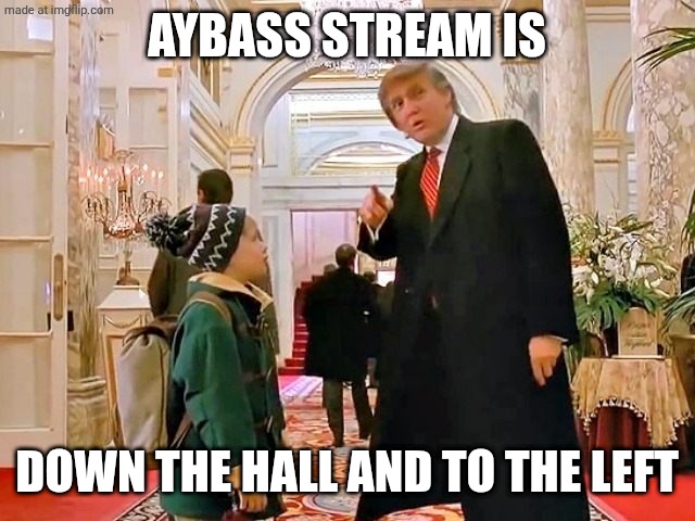 Trump Home Alone | AYBASS STREAM IS DOWN THE HALL AND TO THE LEFT | image tagged in trump home alone | made w/ Imgflip meme maker
