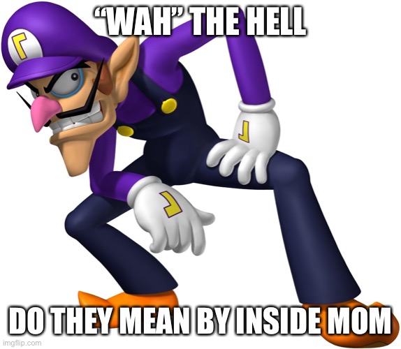 Waluigi | “WAH” THE HELL DO THEY MEAN BY INSIDE MOM | image tagged in waluigi | made w/ Imgflip meme maker