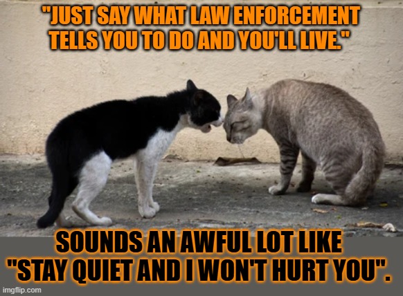 This #lolcat wonders if hoo-mens should always comply | "JUST SAY WHAT LAW ENFORCEMENT TELLS YOU TO DO AND YOU'LL LIVE."; SOUNDS AN AWFUL LOT LIKE 
"STAY QUIET AND I WON'T HURT YOU". | image tagged in comply,law,lolcat,fascism | made w/ Imgflip meme maker