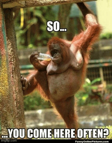 image tagged in gifs | made w/ Imgflip images-to-gif maker