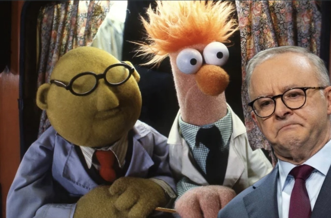 Mr and Mrs Albanese Blank Meme Template