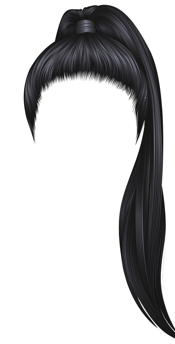 Dark ponytail Blank Meme Template