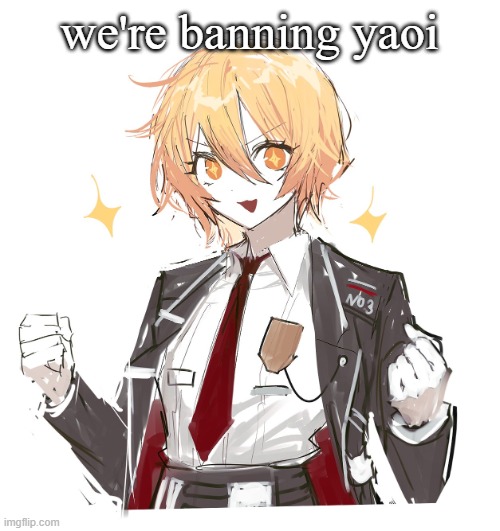 don quote | we're banning yaoi | image tagged in don quote | made w/ Imgflip meme maker