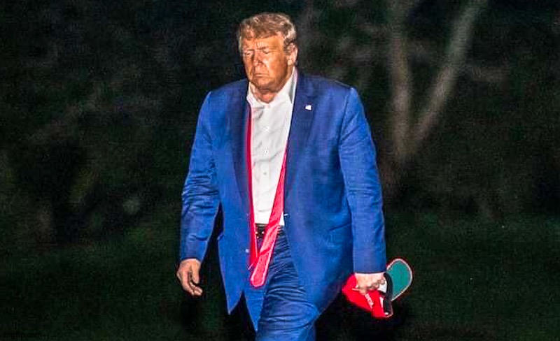 Defeated Trump Meme | image tagged in defeated trump meme | made w/ Imgflip meme maker