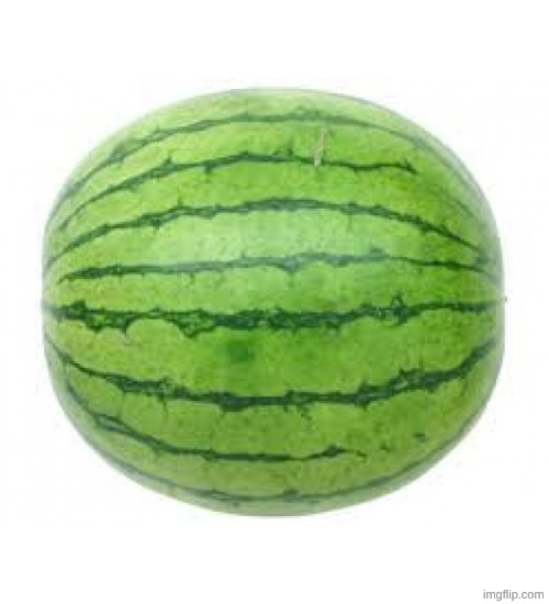 Watermelon | image tagged in watermelon | made w/ Imgflip meme maker