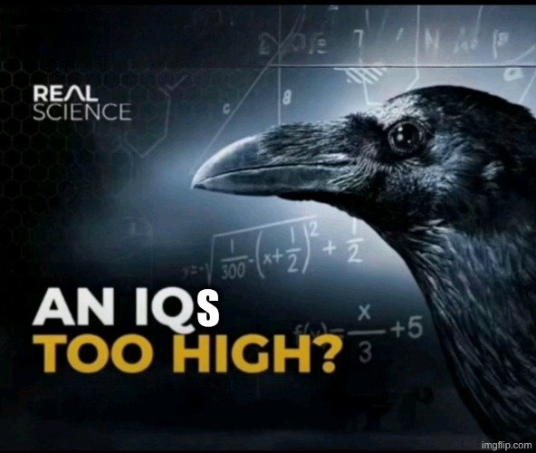 an iq too high? | S | image tagged in an iq too high | made w/ Imgflip meme maker