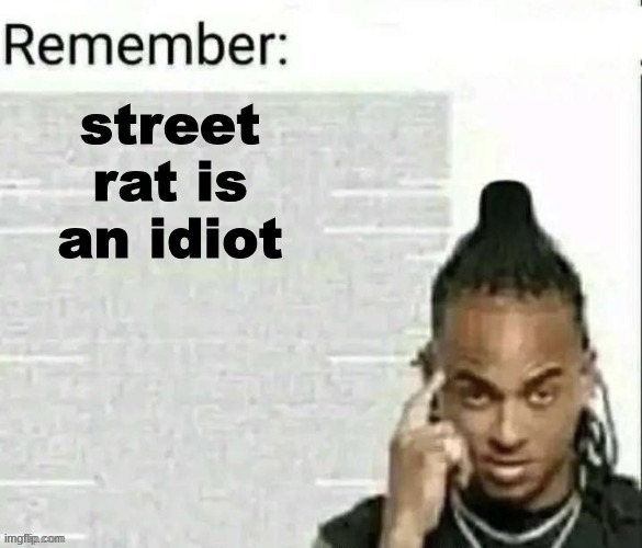 Remember | street rat is an idiot | image tagged in remember | made w/ Imgflip meme maker