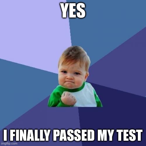 Success Kid Meme | YES; I FINALLY PASSED MY TEST | image tagged in memes,success kid,fun | made w/ Imgflip meme maker