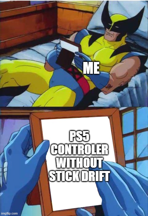 I've been waiting two weeks | ME; PS5 CONTROLER WITHOUT STICK DRIFT | image tagged in wolverine remember | made w/ Imgflip meme maker