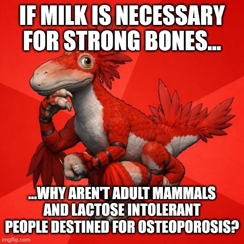 Myth busted! | IF MILK IS NECESSARY FOR STRONG BONES... ...WHY AREN'T ADULT MAMMALS AND LACTOSE INTOLERANT PEOPLE DESTINED FOR OSTEOPOROSIS? | image tagged in bones,dairy,diet,memes,milk,new philosoraptor | made w/ Imgflip meme maker