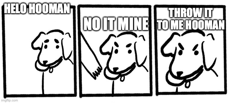 dogs be like | HELO HOOMAN; NO IT MINE; THROW IT TO ME HOOMAN | image tagged in no take only throw | made w/ Imgflip meme maker