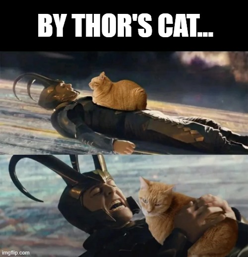 Thor's Cat | BY THOR'S CAT... | image tagged in thor | made w/ Imgflip meme maker