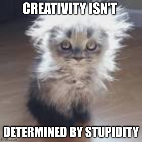 icestar11 | CREATIVITY ISN'T; DETERMINED BY STUPIDITY | image tagged in icestar11 | made w/ Imgflip meme maker