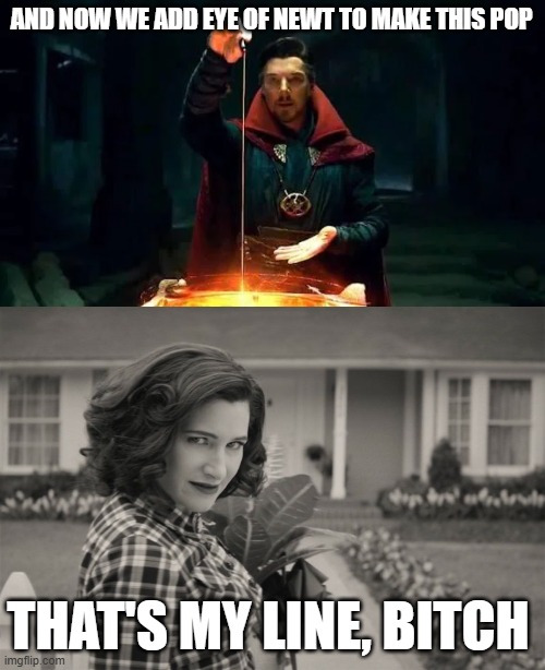 Doctor Witch? | AND NOW WE ADD EYE OF NEWT TO MAKE THIS POP; THAT'S MY LINE, BITCH | image tagged in agatha all along | made w/ Imgflip meme maker