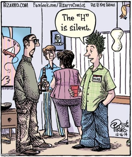 When Your Hair is Organic | image tagged in vince vance,cartoons,herb,grass,medical marijuana,bizarro | made w/ Imgflip meme maker