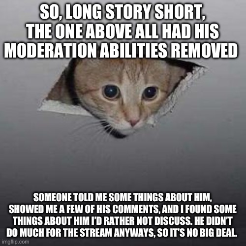 He’s not the person he pretends to be | SO, LONG STORY SHORT, THE ONE ABOVE ALL HAD HIS MODERATION ABILITIES REMOVED; SOMEONE TOLD ME SOME THINGS ABOUT HIM, SHOWED ME A FEW OF HIS COMMENTS, AND I FOUND SOME THINGS ABOUT HIM I’D RATHER NOT DISCUSS. HE DIDN’T DO MUCH FOR THE STREAM ANYWAYS, SO IT’S NO BIG DEAL. | image tagged in memes,ceiling cat | made w/ Imgflip meme maker
