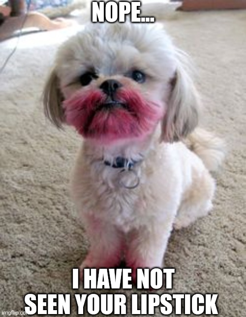 Nope I Have Not Seen Your Lipstick | NOPE... I HAVE NOT SEEN YOUR LIPSTICK | image tagged in chrisjoines1 | made w/ Imgflip meme maker