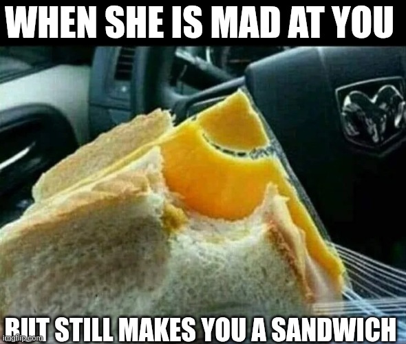 When She Is Mad At You | WHEN SHE IS MAD AT YOU; BUT STILL MAKES YOU A SANDWICH | image tagged in chrisjoines1 | made w/ Imgflip meme maker