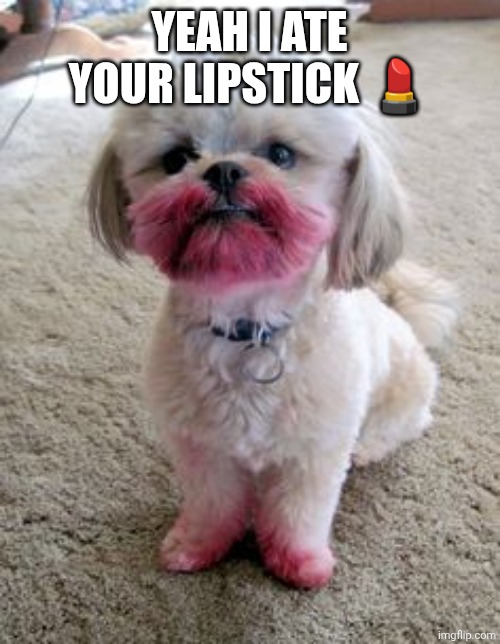 Chrisjoines1 | YEAH I ATE YOUR LIPSTICK 💄 | image tagged in chrisjoines1 | made w/ Imgflip meme maker