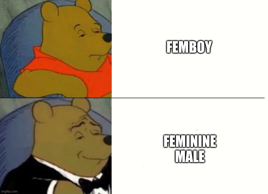 Use  the term Feminine Male next time you see a femboy. That's the proper way to address them. | FEMBOY; FEMININE MALE | image tagged in fancy winnie the pooh meme | made w/ Imgflip meme maker