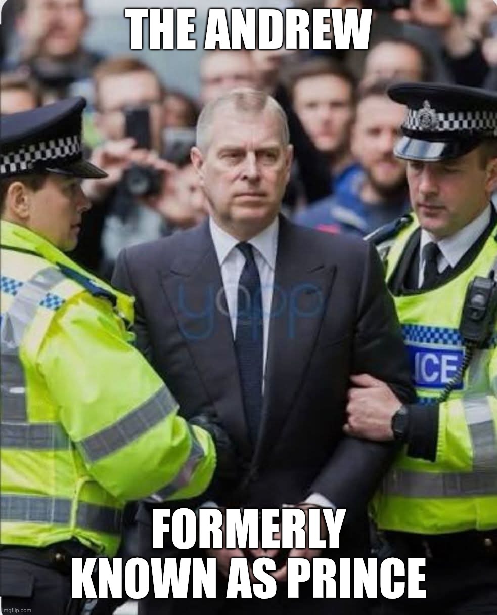 The end of Purple Reign is the beat part of the album | THE ANDREW; FORMERLY KNOWN AS PRINCE | image tagged in prince andrew arrested,purple rain,jeffrey epstein,british royals,royal family | made w/ Imgflip meme maker