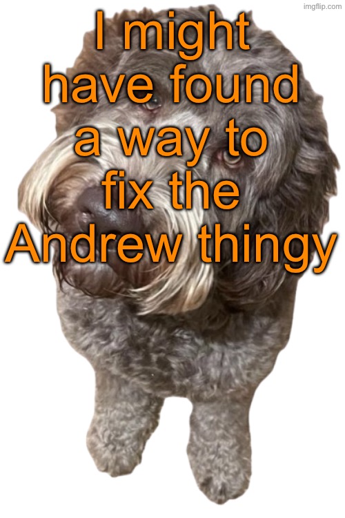 Imma try fixing it tomorrow, as well as adding some new users | I might have found a way to fix the Andrew thingy | image tagged in northers dog transparent | made w/ Imgflip meme maker