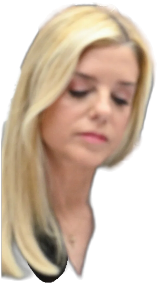 Pam Don't Care Blank Meme Template