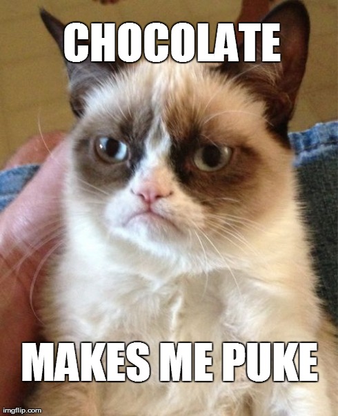 Grumpy Cat | CHOCOLATE MAKES ME PUKE | image tagged in memes,grumpy cat | made w/ Imgflip meme maker