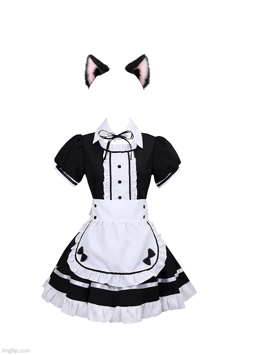 cat maid dress Blank Meme Template