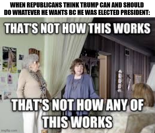 that's not how this works | WHEN REPUBLICANS THINK TRUMP CAN AND SHOULD DO WHATEVER HE WANTS BC HE WAS ELECTED PRESIDENT: | image tagged in that's not how this works | made w/ Imgflip meme maker