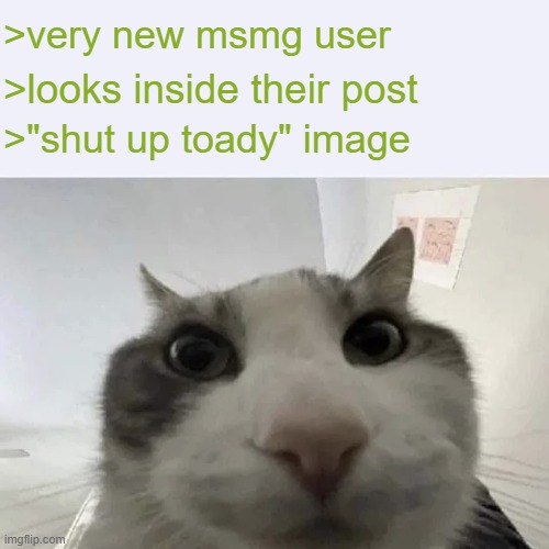 green text cat | >very new msmg user; >looks inside their post; >"shut up toady" image | image tagged in green text cat | made w/ Imgflip meme maker