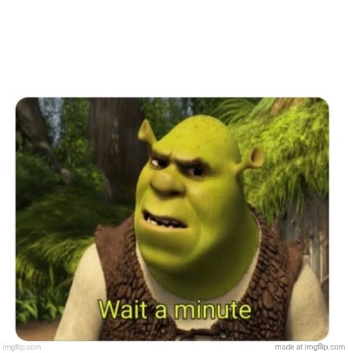 Shrek Wait a Minute | image tagged in shrek wait a minute | made w/ Imgflip meme maker