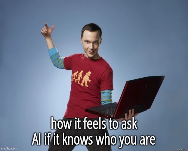 sheldon cooper laptop | how it feels to ask AI if it knows who you are | image tagged in sheldon cooper laptop | made w/ Imgflip meme maker
