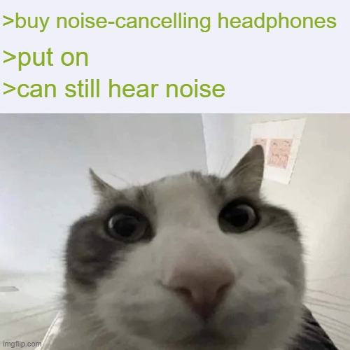 green text cat | >buy noise-cancelling headphones; >put on; >can still hear noise | image tagged in green text cat | made w/ Imgflip meme maker