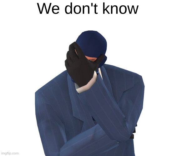 We don't know | image tagged in disappointed spy | made w/ Imgflip meme maker