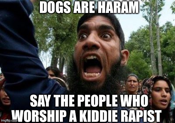 Angry Muslim | DOGS ARE HARAM; SAY THE PEOPLE WHO WORSHIP A KIDDIE RAPIST | image tagged in angry muslim,dogs,political meme,politics | made w/ Imgflip meme maker
