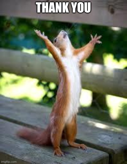 Praise Squirrel | THANK YOU | image tagged in praise squirrel | made w/ Imgflip meme maker