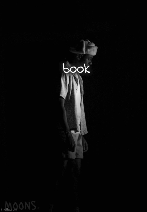 moons tyler temp | book | image tagged in moons tyler temp | made w/ Imgflip meme maker