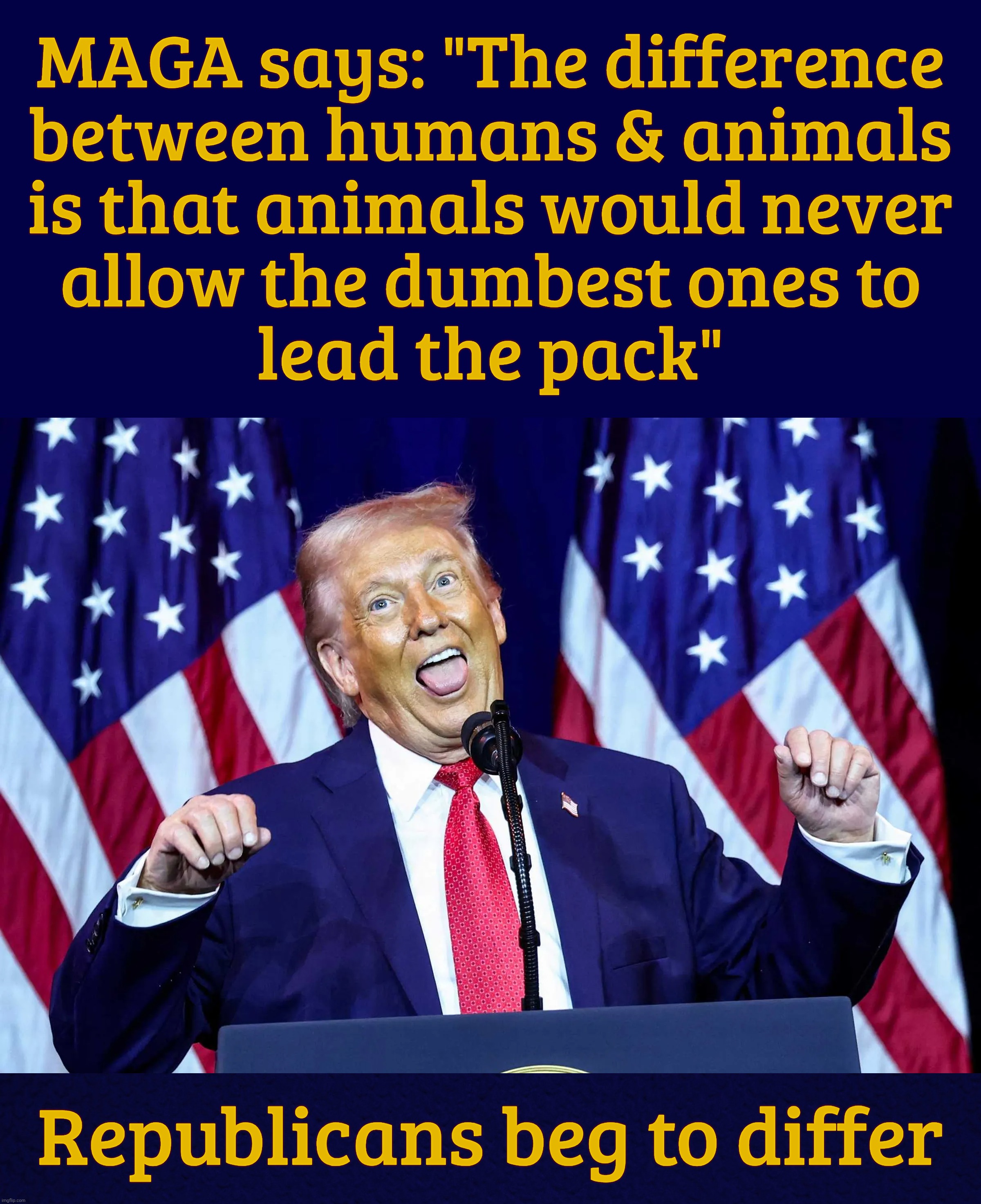 MAGA says: "The difference
between humans & animals
is that animals would never
allow the dumbest ones to
lead the pack" Republicans beg to  | image tagged in dark blue | made w/ Imgflip meme maker