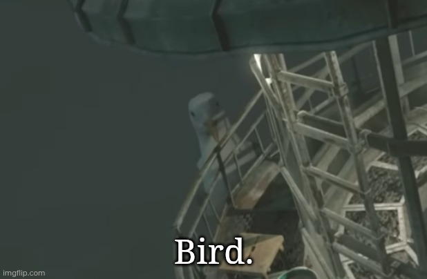 Bird. | made w/ Imgflip meme maker