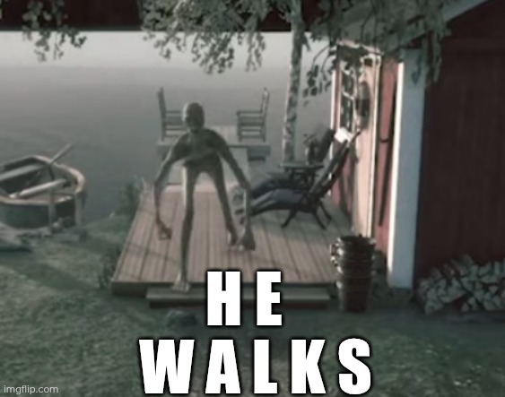 H E   W A L K S | made w/ Imgflip meme maker
