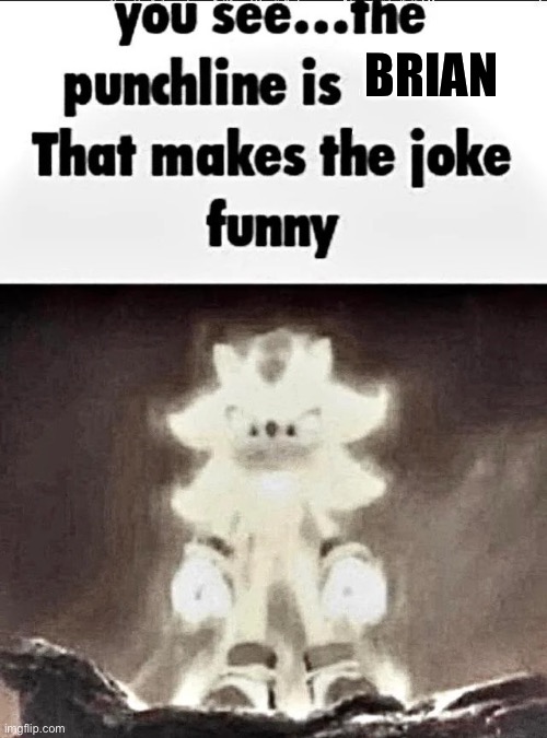 Shadow explains the joke | BRIAN | image tagged in shadow explains the joke | made w/ Imgflip meme maker