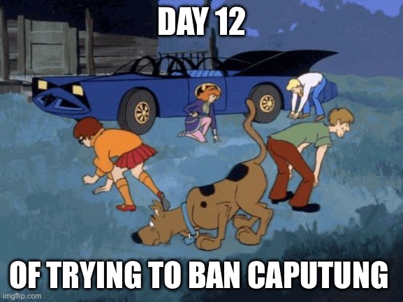 No idea for a title | DAY 12; OF TRYING TO BAN CAPUTUNG | image tagged in scooby doo search,banana | made w/ Imgflip meme maker