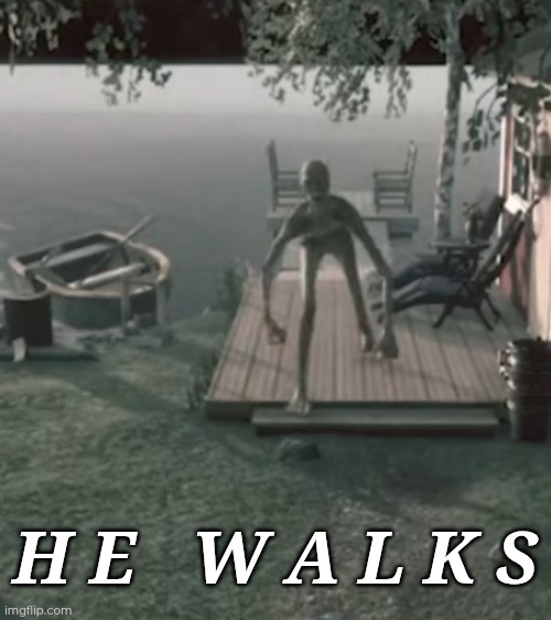 H E   W A L K S | made w/ Imgflip meme maker