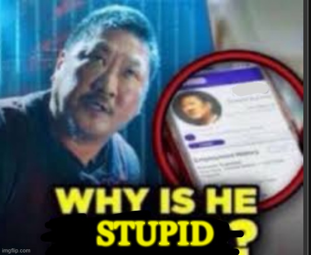 Why is he ….? | STUPID | image tagged in why is he | made w/ Imgflip meme maker