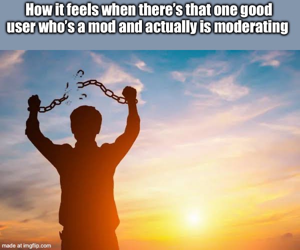 Breaking Free | How it feels when there’s that one good user who’s a mod and actually is moderating | image tagged in breaking free | made w/ Imgflip meme maker