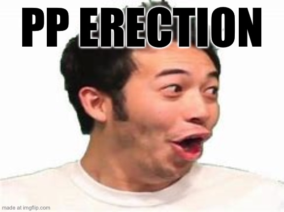 pog | PP ERECTION | image tagged in pog | made w/ Imgflip meme maker