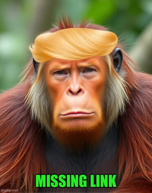 MISSING LINK | made w/ Imgflip meme maker