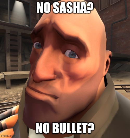 no anime? | NO SASHA? NO BULLET? | image tagged in no anime | made w/ Imgflip meme maker