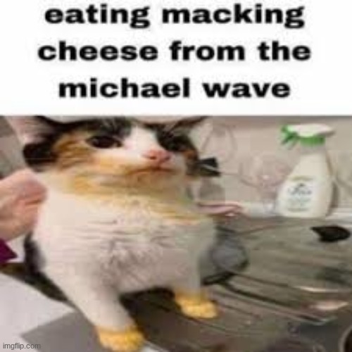 micheal..? MICHEAL DONT LEAVE ME HERE! MICHEALLLL | image tagged in macking cheese from the micheal wave | made w/ Imgflip meme maker